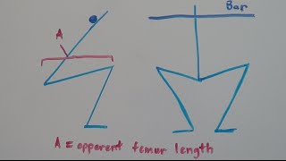 How To Squat  Stance Width Depth and Femur Length [upl. by Nwahsear]