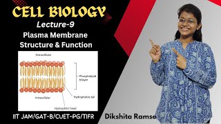 Cell Biology 09  Plasma Membrane Models and Structure  IIT JAM Biotechnology [upl. by Eniortna853]