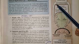 Deoxy Ribonucleotide Synthesis Chap 22 Part Biochemistry Lippincott [upl. by Yevoc174]