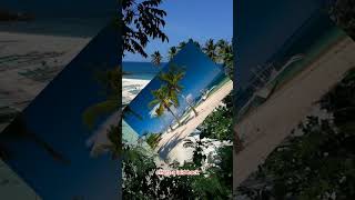 Malapascua Island Cebu Philippine beach destination [upl. by Kermit]