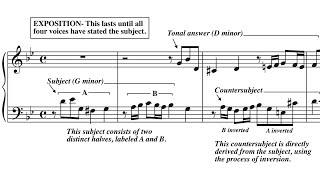 Fugue Analysis Bach Fugue in G Minor WTC I [upl. by Martelli677]