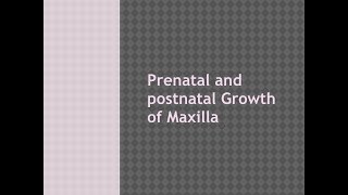 Growth of maxilla [upl. by Anotal898]