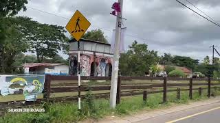 🇱🇰 Passing Galgamuwa Railway Station travel train railwaystation srilanka [upl. by Carolan140]