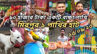 ৯০ হাজার টাকা একটি বাচ্চা পাখি  মিরপুর ১ পাখির হাট  Mirpur 1 pakhir hat  পাখির হাট  pakhir hat [upl. by Arrad]