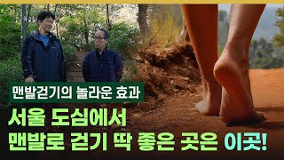 건강정보 서울 도심에서 맨발로 걷기 딱 좋은 곳은 이곳 amp 맨발걷기의 놀라운 효과 [upl. by Siuqramed]