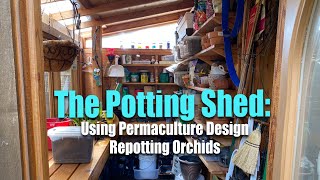 Potting Shed Tour Permaculture Zones Repotting Orchids [upl. by Eikin]