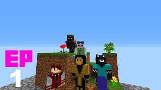 SI MUERES TE VAS  SKYBLOCK HARDCORE  EP1 [upl. by Suivatnod132]