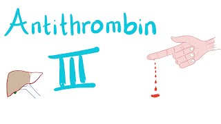 Antithrombin III  How Heparin Works [upl. by Scherle65]