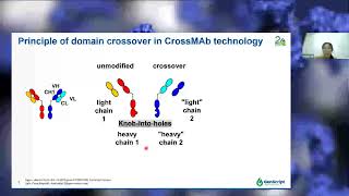 Webinar Bispecific Antibody Overview amp Production with CrossMab Technology [upl. by Bennink]