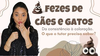 FEZES DE CÃES E GATOS O QUE O TUTOR PRECISA SABER [upl. by Koller]