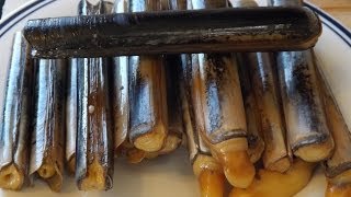 How To Catch And Cook Razor ClamsSeashore To Plate [upl. by Yrevi]