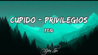 Feid Cupido  Privilegios LETRA🎵 [upl. by Tamanaha556]