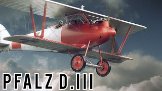 Pfalz DIII Documentary [upl. by Akzseinga]