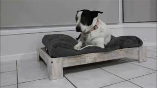 DIY Dog Bed From Pallet Wood [upl. by Daniela]