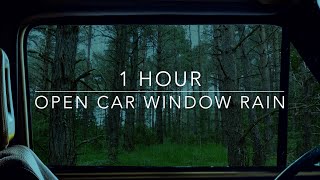 Open Car Window Rain  Rain On Car  Forest Rain  1 hour Rain Sounds for Sleeping [upl. by Bertila]