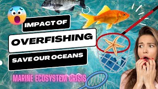 The Hidden Dangers of Overfishing [upl. by Nerw]