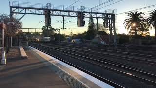 Sydney Trains On Location Episode 816 Hurstville Part 14 [upl. by Bigler]