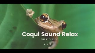 Coqui Sound Puerto Rico Relax [upl. by Norvun23]