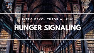 Hunger Signaling Intro Psych Tutorial 161 [upl. by Spindell]