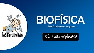 BIOELETROGÊNESE Introdução e Canais  BIOFÍSICA [upl. by Aihsekyw]