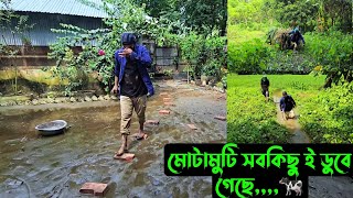 মোটামুটি সবকিছু ই ডুবে গেছে🐄 [upl. by Aloap]