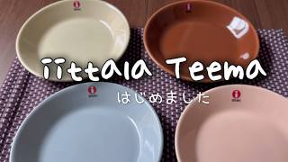 iittala ティーマの食器をはじめて購入しました【開封動画】 [upl. by Nilatak98]