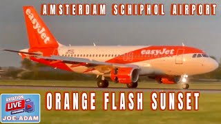 Amsterdam Schiphol Airport Live Monday 04292024 [upl. by Way83]