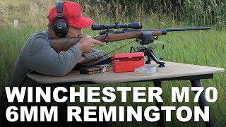 Winchester M70 6mm Remington Review [upl. by Lilhak]