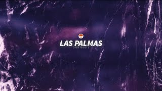 LAS PALMAS  Dancehall con Palmas Flamencas  2024 [upl. by Weaver]