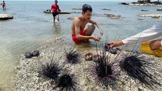 Giant Sea Urchin Uni Sashimi  Cleaning and Eating Massive Sea Urchin [upl. by Nalyorf515]