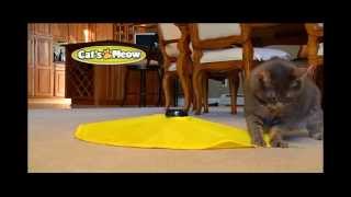 Cats Meow  Official Commercial  Top TV Stuff [upl. by Aivul]