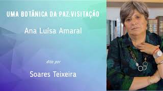 quotUMA BOTÂNICA DA PAZ  VISITAÇÃOquot Ana Luísa Amaral  Soares Teixeira [upl. by Leumek]