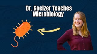 Microbiology  Chapter 1 Part 2  Classification of Microbes [upl. by Keffer]