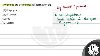 Pyrenoids are the centres for formation of [upl. by Akimak]