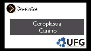 Ceroplastia Canino Superior [upl. by Otrebogad]