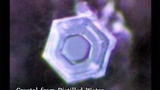 Messages From Water Full Film  Masaru Emoto  The GOYS Life [upl. by Paresh196]