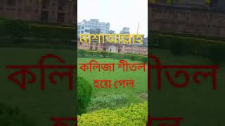 মুসা নবীর ঘটনা।youtubeshorts বাংলাওয়াজ religion two sis83 muftigiasuddintaheri [upl. by Bride]