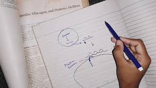 Insulin and Glucagon part 1 guyton79 endocrinephysiology physiology [upl. by Anitsyrc112]