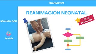 NEONATOLOGÍA  REANIMACIÓN NEONATAL  ENARM 2024 [upl. by Immac]