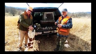 Hunting chukars with Brittney Spaniels and great friends 2019E16 [upl. by Ariahay]