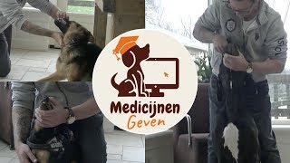 Hoe geef ik mijn hond medicijnen [upl. by Billen]