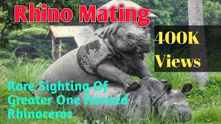 Rhino Mating  Chitwan National Park  Rare Sighting OF Greater One Horned Rhinoceros  Wildlife [upl. by Normak]