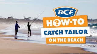 How to Catch Tailor  Beach Fishing [upl. by Allin735]