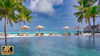 モルディブ 南国癒し 4K映像 ラウンジ風ジャズBGM  ギリ・ランカンフシ｜Maldives summer lounge jazz BGM at Gili Lankanfushi in 4K [upl. by Knoll376]