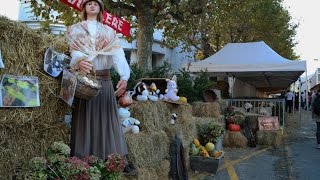 Foire de la Barguillère à Foix [upl. by Cristi]