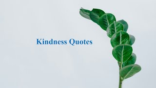 Kindness quotes [upl. by Lurleen]