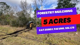 Clearing 5 acres in Florida with Forestry Mulcher for new home build  Tree Shop [upl. by Sidman288]