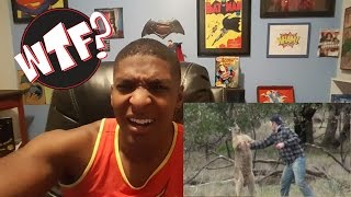 Man Punches Kangaroo in the face to save his Dog Reaction [upl. by Adnirod]