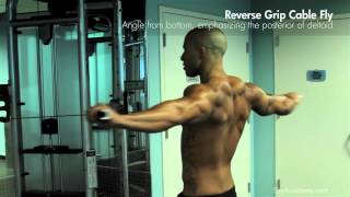 SHOULDERS amp BACK  Reverse Grip Cable Fly [upl. by Lili]