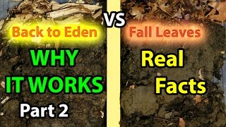 Back to Eden No Till Organic Gardening 101 Method with Mulch VS Leaves Composting Garden Soil 2 [upl. by Yetak181]